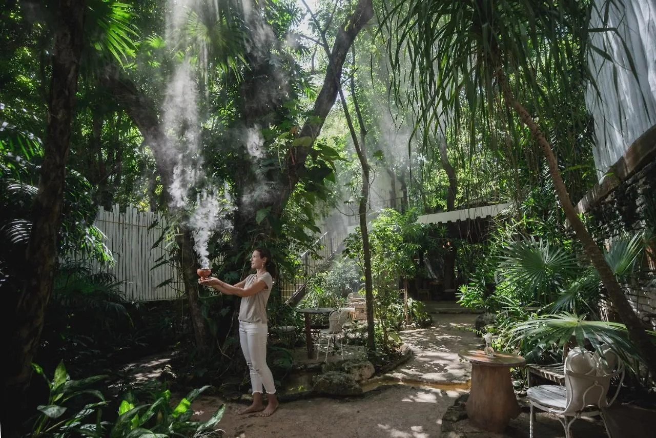 Hotel La Semilla A Member Of Design Hotels (Adults Only) Playa del Carmen 4*,  Mexico