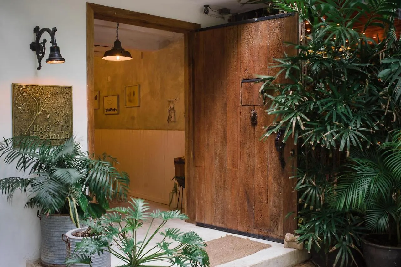 Hotel La Semilla A Member Of Design Hotels (Adults Only) Playa del Carmen