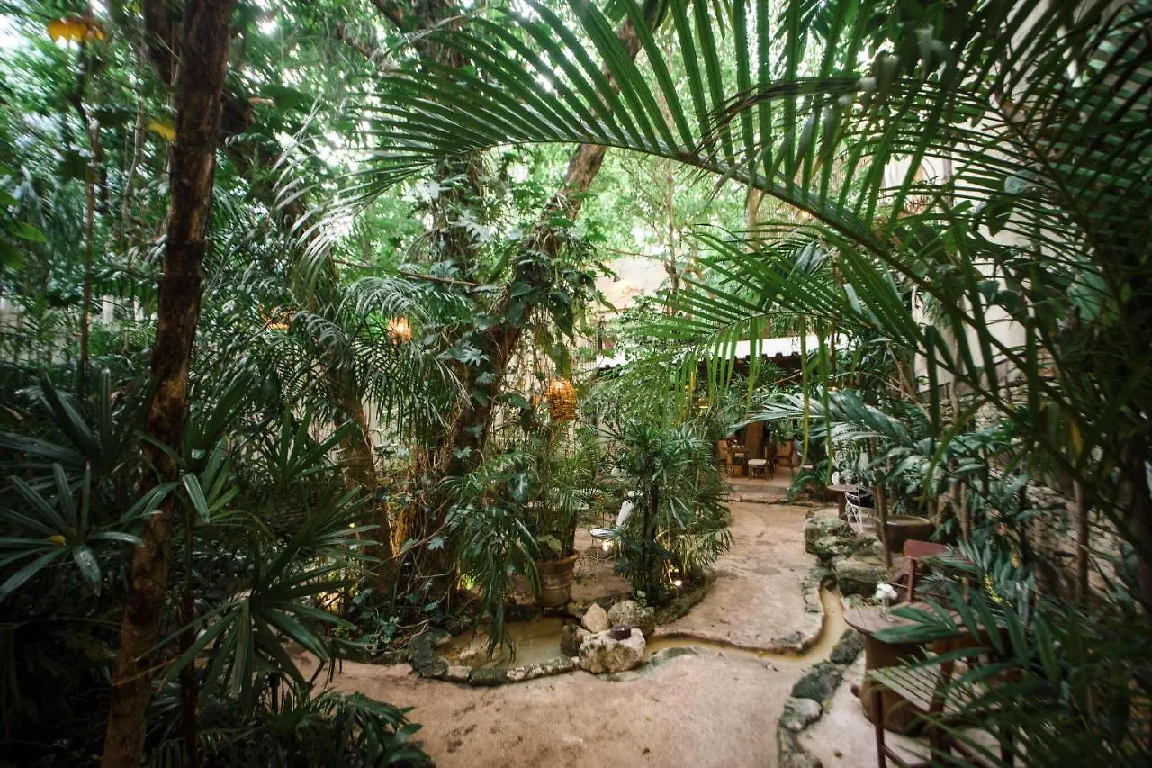 Hotel La Semilla A Member Of Design Hotels (Adults Only) location