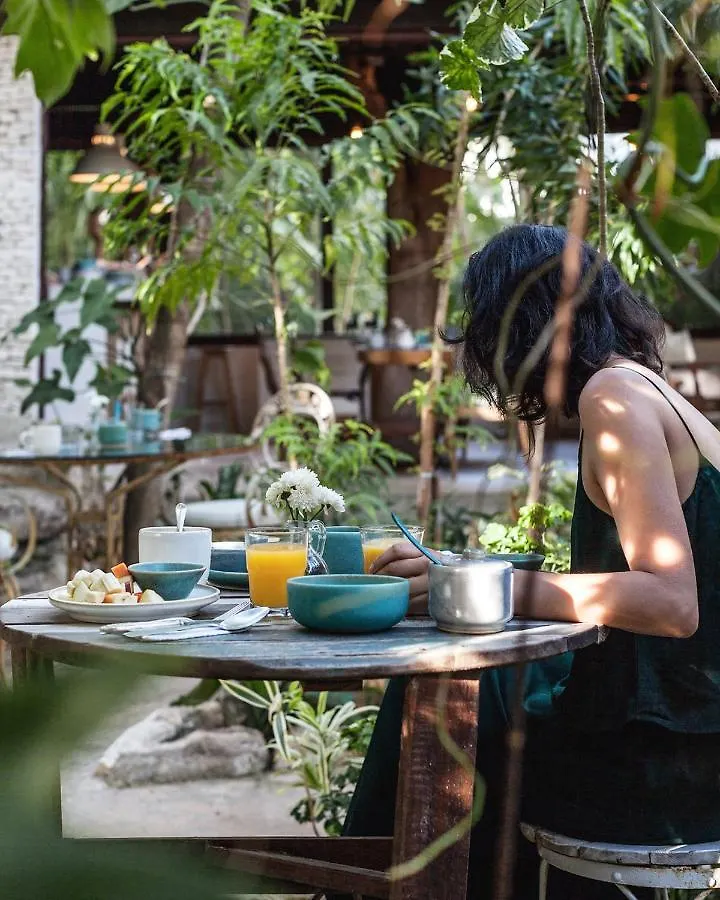 Hotel La Semilla A Member Of Design Hotels (Adults Only) Playa del Carmen