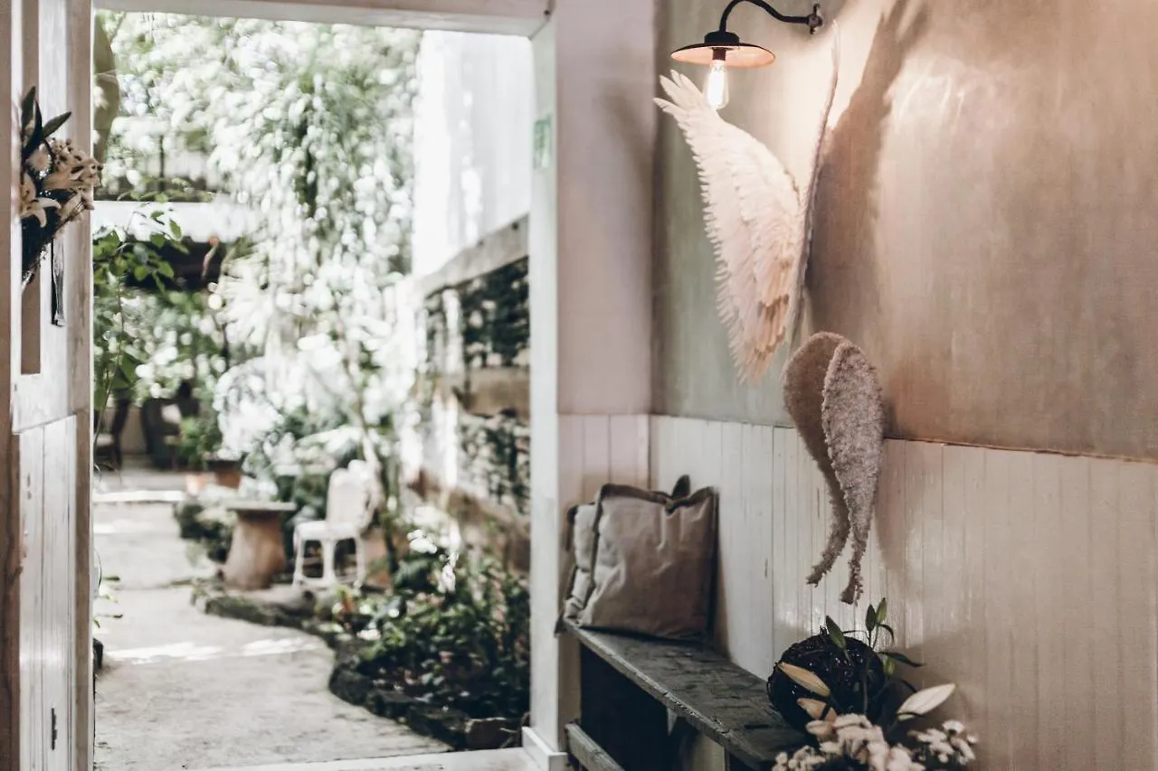Hotel La Semilla A Member Of Design Hotels (Adults Only) Playa del Carmen