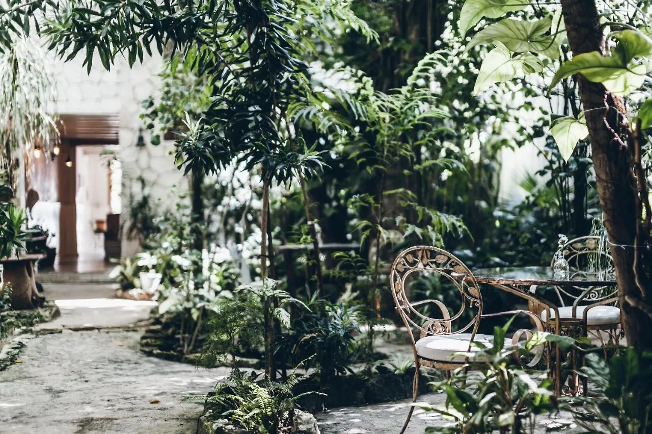 Hotel La Semilla A Member Of Design Hotels (Adults Only) Playa del Carmen