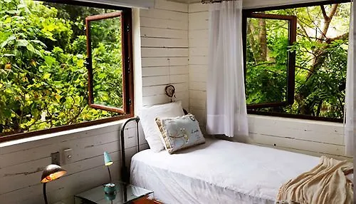 Hotel La Semilla A Member Of Design Hotels (Adults Only) Playa del Carmen