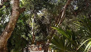 Hotel La Semilla A Member Of Design Hotels (Adults Only) Playa del Carmen