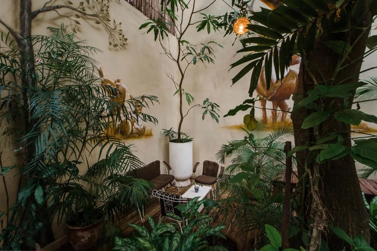 Hotel La Semilla A Member Of Design Hotels (Adults Only) Playa del Carmen