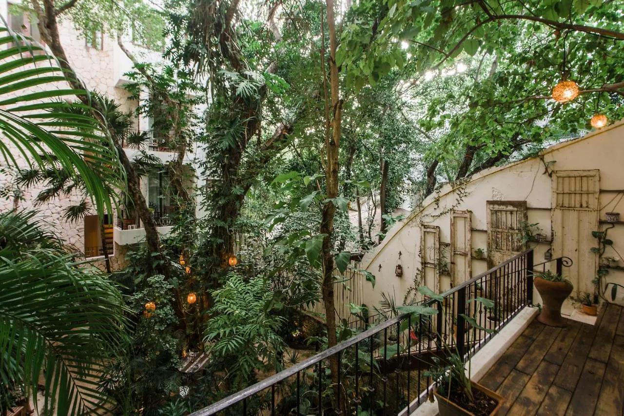 Hotel La Semilla A Member Of Design Hotels (Adults Only) Playa del Carmen