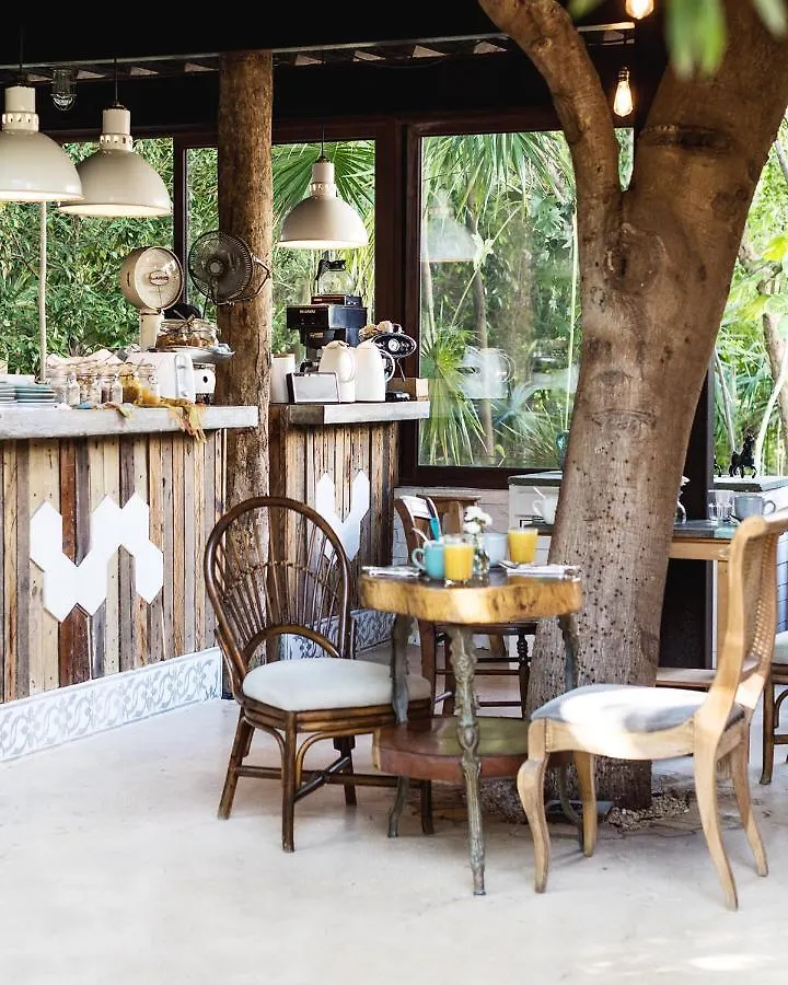 Hotel La Semilla A Member Of Design Hotels (Adults Only) Playa del Carmen